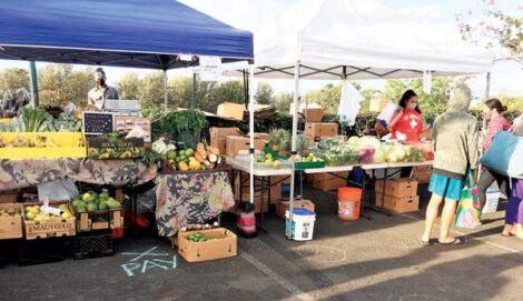 Senior Farmers Market coupon deadline is Oct. 31